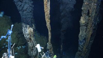 A hydrothermal vent chimney